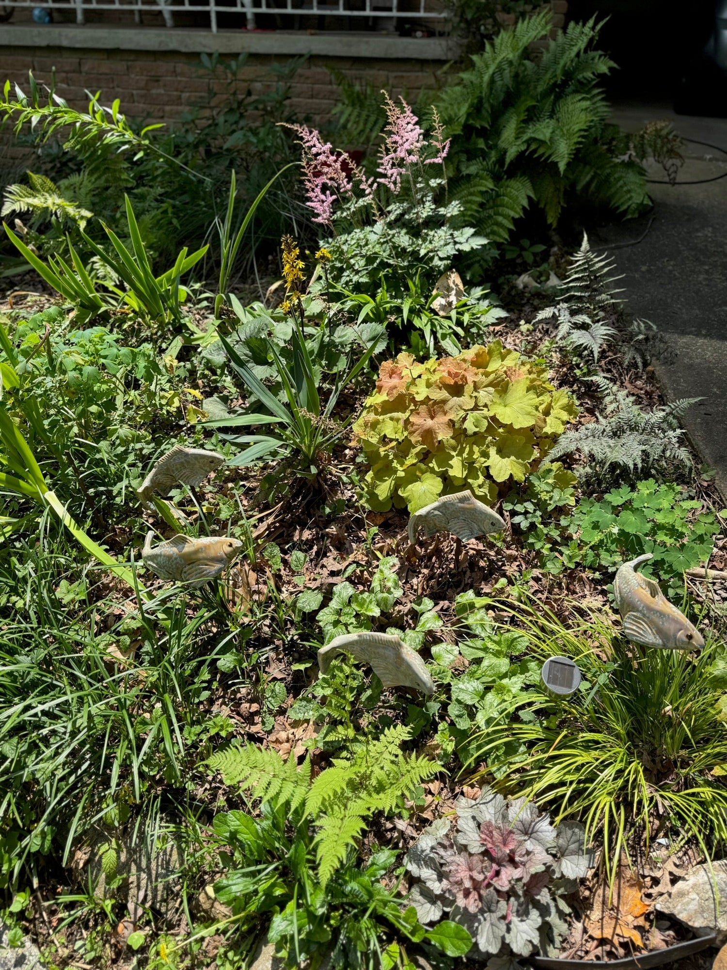 A lush shade garden vignette with heuchera, ferns, and astilbe